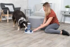 Trixie Dog Activity Gambling Tower - 27X25 CM 28 Trixie Dog Activity Gambling Tower - 27X25 CM -Hondenproducten 1200x800 101