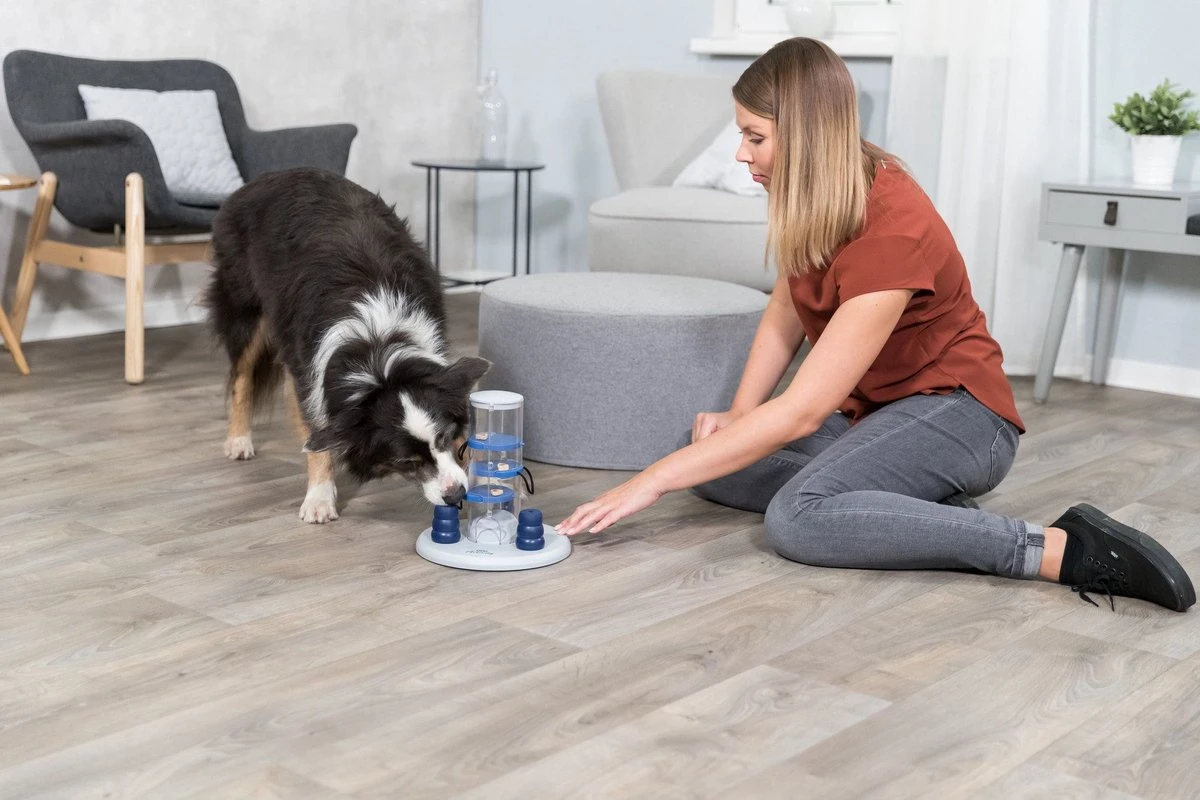 Trixie Dog Activity Gambling Tower - 27X25 CM 13 Trixie Dog Activity Gambling Tower - 27X25 CM - Afbeelding 11