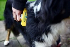 Furminator® Hond Langhaar - Vermindert Haaruitval Tot 90% - Hondenborstel - L -Hondenproducten 1200x800 11