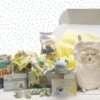 Merkloos Beeztees Puppy Cadeaupakket - Puppy Pakket - Leuke Box Met Puppy Speelgoed En Snacks -Hondenproducten 1200x800 122