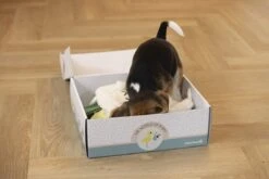 Merkloos Beeztees Puppy Cadeaupakket - Puppy Pakket - Leuke Box Met Puppy Speelgoed En Snacks 12 Merkloos Beeztees Puppy Cadeaupakket - Puppy Pakket - Leuke Box Met Puppy Speelgoed En Snacks -Hondenproducten 1200x800 125