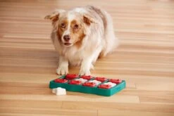 Nina Ottosson - Hondenspel - Dog Brick -Hondenproducten 1200x800 177