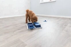 Trixie Dog Activity Poker Box 1 - 31X31 CM 31 Trixie Dog Activity Poker Box 1 - 31X31 CM -Hondenproducten 1200x800 189