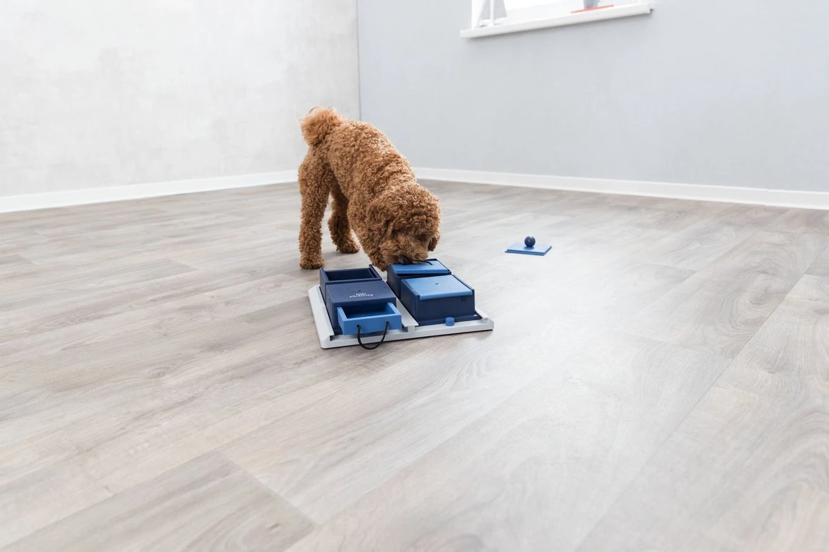 Trixie Dog Activity Poker Box 1 - 31X31 CM 16 Trixie Dog Activity Poker Box 1 - 31X31 CM - Afbeelding 14