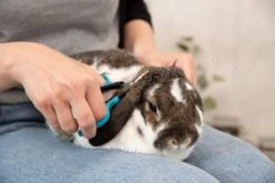 Trixie Gezicht- En Potenschaar Kunststof / Rvs 8 Cm -Hondenproducten 1200x800 19