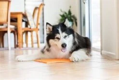 Lickimat Buddy - Voermat - Slow Feeder - 20 Cm - Oranje -Hondenproducten 1200x800 194