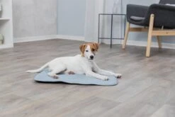 Trixie Junior Ligmat Fresh Lichtblauw - 60X50 CM -Hondenproducten 1200x800 232