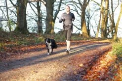 Trixie Heupriem Met Jogginglijn Zwart - RIEM 60-120 CM LIJN 100-135 CM -Hondenproducten 1200x800 37