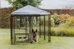 MaxxPet Hondenkennel - Hondenkennel Met Afneembaar Dak - Geschikt Voor Buiten En Binnen - 142 X 142 X 153 Cm -Hondenproducten 1200x800 41