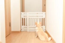 Iris Ohyama Huisdier Bariere PBR-600 - Kunststof - Wit/Beige - Uitschuifbaar 13 Iris Ohyama Huisdier Bariere PBR-600 - Kunststof - Wit/Beige - Uitschuifbaar -Hondenproducten 1200x800 43