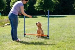 Trixie Dog Activity Agility Horde - Blauw/Oranje - 123 X 115 X 3 Cm 17 Trixie Dog Activity Agility Horde - Blauw/Oranje - 123 X 115 X 3 Cm -Hondenproducten 1200x800 57