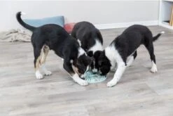 Trixie Junior Likplaat Mintgroen - 21X21 CM -Hondenproducten 1200x800 76