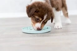 Trixie Junior Likplaat Mintgroen (15X15 CM) -Hondenproducten 1200x800 85