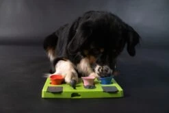 Eat Slow Live Longer Puzzel Rectangle – Intelligentie Speelgoed Voor Honden – Interactief Hondenspeelgoed – Uitdagende Hondenpuzzel – Gerecyclede Materialen – Te Vullen Met Snacks - 25x26x5 Cm - Groen 10 Eat Slow Live Longer Puzzel Rectangle – Intelligentie Speelgoed Voor Honden – Interactief Hondenspeelgoed – Uitdagende Hondenpuzzel – Gerecyclede Materialen – Te Vullen Met Snacks - 25x26x5 Cm - Groen -Hondenproducten 1200x800 93