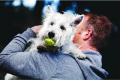 Kong Squeakair Ball - Hondenspeelgoed - 6 St -Hondenproducten 1200x802 5