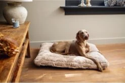 Designed By Lotte Hondenkussen Pluche Xanti Beige 70x 50 X 5 Cm -Hondenproducten 1200x804 4