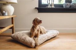 Designed By Lotte Hondenkussen Pluche Xanti Beige 70x 50 X 5 Cm -Hondenproducten 1200x804 5