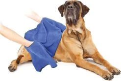 Duvo+ Hondenhanddoek 70 X 100 Cm -Hondenproducten 1200x808