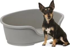 Flamingo - Hondenmand Domus - Grijs - M - 70 X 47 X 22 Cm -Hondenproducten 1200x813 6