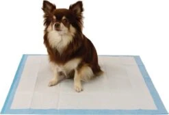 Easypets Puppy Training Pads - Zindelijkheidstraining - Hondentoilet - 58 X 58 Cm - 105 Stuks 10 Easypets Puppy Training Pads - Zindelijkheidstraining - Hondentoilet - 58 X 58 Cm - 105 Stuks -Hondenproducten 1200x814 1