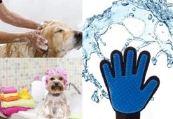 Vacht Verzorgingsborstel Voor Huisdieren - Blauw - LimitedDeals - Voor Honden Katten Konijnen Paarden - Tevens Massage Handschoen Voor Dieren! - Goed Voor De Verzorging Van De Vacht -Hondenproducten 1200x825