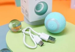 Merkloos Interactive Bal Voor Katten - Zelf Rollende Bal Voor Katten - Elektrisch Kattenspeeltje - Usb Oplaadbaar - Zelf Rollend Interactief Kattenspeeltje - Huisdieren Speeltjes - Cadeau Dierenliefhebbers -Hondenproducten 1200x835 5