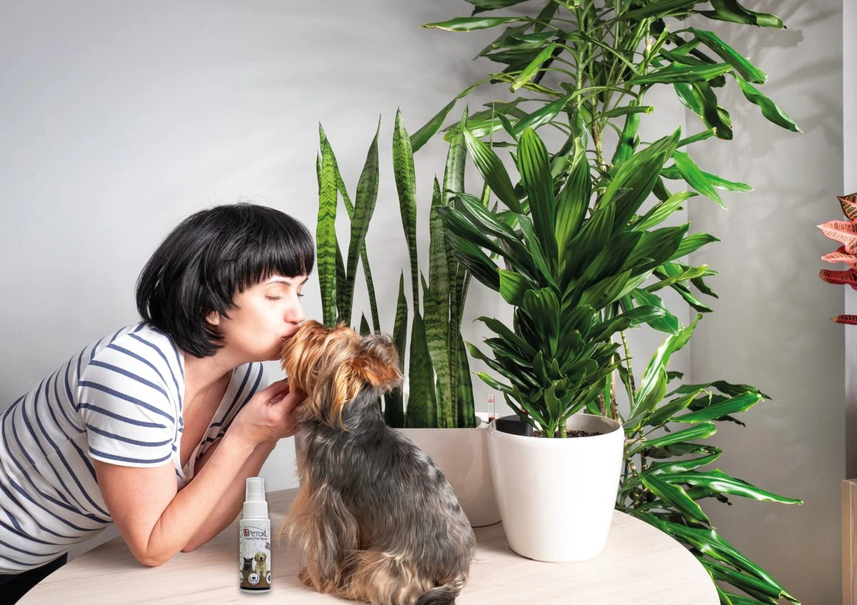 Petoxil Pet Spray Met Colloïdaal Zilver Is Speciaal Ontworpen Voor Gebruik Op Alle (huis) Dierensoorten. Revolutionair In Hygiëne 4 Petoxil Pet Spray Met Colloïdaal Zilver Is Speciaal Ontworpen Voor Gebruik Op Alle (huis) Dierensoorten. Revolutionair In Hygiëne - Afbeelding 2