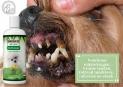 Easy Mondwater Voor Honden - 237 Ml - Tegen Stinkende Adem - Tandplak - Tandsteen - Tandvleesproblemen -Hondenproducten 1200x849 5