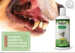 Easy Mondwater Voor Honden - 237 Ml - Tegen Stinkende Adem - Tandplak - Tandsteen - Tandvleesproblemen -Hondenproducten 1200x852 8