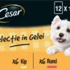 Cesar Selectie In Gelei Maaltijdzakjes Honden Natvoer - Vlees En Groenten In Gelei - 48 X 100g -Hondenproducten 1200x861 1