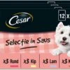 Cesar Selectie In Saus Maaltijdzakjes Honden Natvoer - Vlees En Groenten In Saus - 48 X 100 Gr -Hondenproducten 1200x861