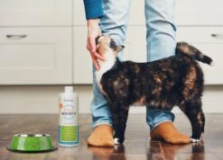 OxyFresh Pet Mondwater Hond En Kat. Helpt Tegen Tandsteen, Plak En Vieze Ademgeurtjes -Hondenproducten 1200x864 9