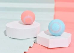 Merkloos Speelbal - Slimme Interactieve Zelfrollende Bal - Kat En Hond Speelgoed - Kattenspeelgoed - BLAUW -Hondenproducten 1200x868 1