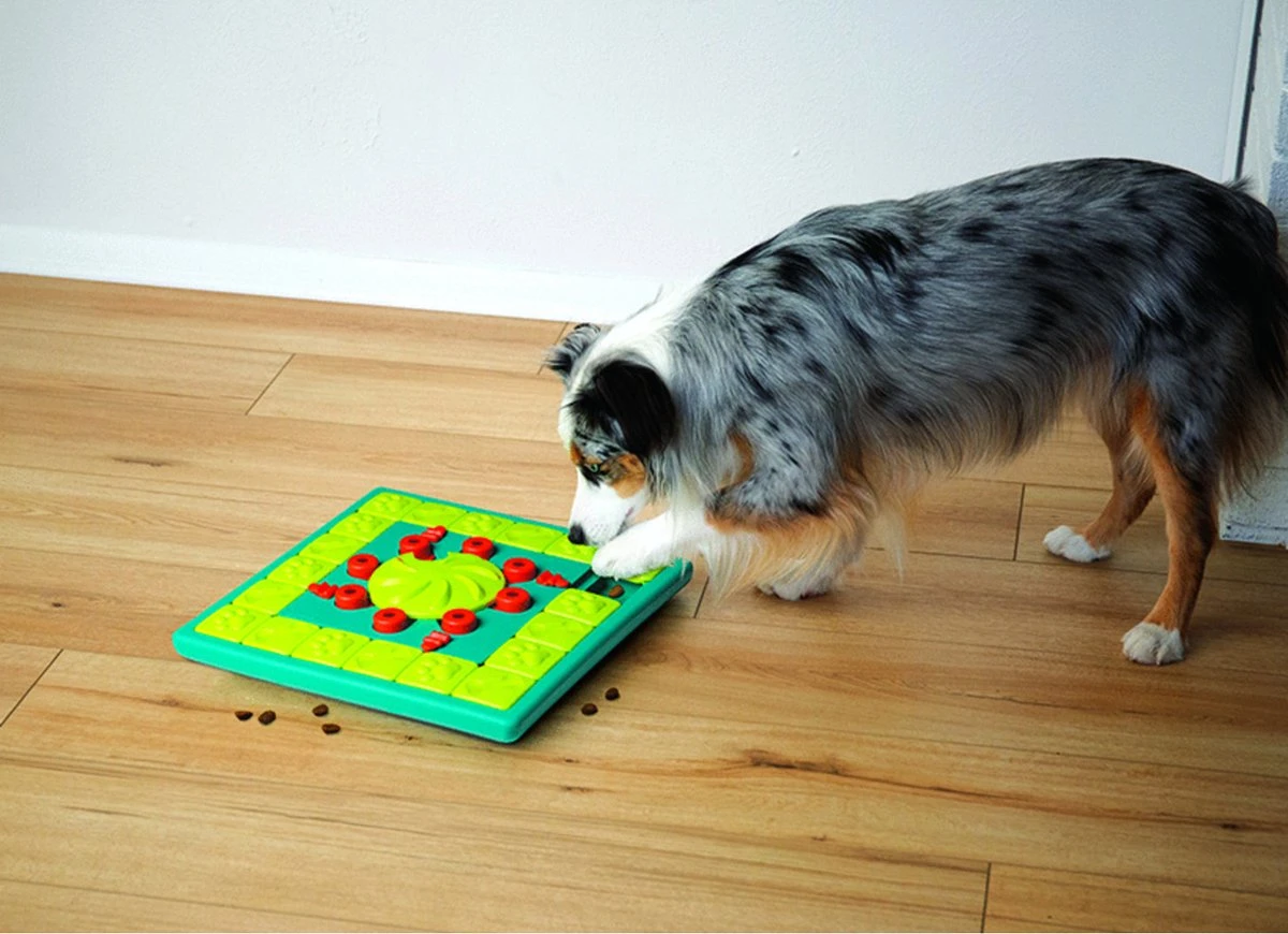 Nina Ottosson Interactieve Hondenpuzzel Vulbaar Met Snacks Voor De Slimste Honden - Outward Hound Multipuzzle 5 Nina Ottosson Interactieve Hondenpuzzel Vulbaar Met Snacks Voor De Slimste Honden - Outward Hound Multipuzzle - Afbeelding 3