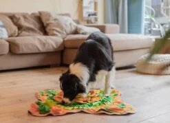 SNUFFIES® Snuffelmat Belle 60x50cm – Snuffelmat – Snuffelmatten - Honden Speelgoed - Honden Speelgoed Intelligentie - Snuffelmat Hond - Snuffelmatten – Hersenwerk – Honden Speeltjes – Puppy - Puppy Speelgoed - Honden Denkspelletjes -Hondenproducten 1200x872 3