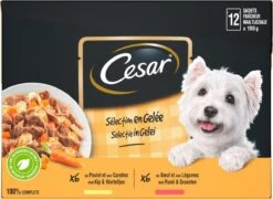 Cesar Selectie In Gelei Maaltijdzakjes Honden Natvoer - Vlees En Groenten In Gelei - 48 X 100g -Hondenproducten 1200x874 1