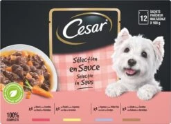Cesar Selectie In Saus Maaltijdzakjes Honden Natvoer - Vlees En Groenten In Saus - 48 X 100 Gr -Hondenproducten 1200x875 1