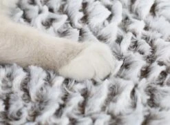 Merkloos Zelfverwarmende Dierendeken Zonder Stroom Thermo Deken Hond Kat Inclusief Adreslabel 70 X 47 Cm -Hondenproducten 1200x878