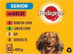 Pedigree Senior In Gelei Honden Natvoer - Vlees En Gevogelte In Gelei - 48 X 100 Gr -Hondenproducten 1200x885 1