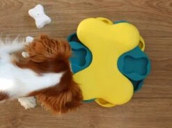 Nina Ottosson Dog Tornado Blu -Hondenproducten 1200x895 4