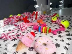 Honden Speelgoed - Puppy Speelgoed - 11 Stuks - Roze - 1 Speeltje Gratis - Honden Knuffel - Trektouw - Honden Speeltjes -Hondenproducten 1200x898 3