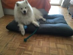 Hondenkussen XL - Donkergrijs - 60 X 90 X 12 -Hondenproducten 1200x900 31