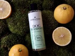 Fresh & Fluffy - Hondenshampoo Aloë Vera / Bergamot - Geschikt Voor Alle Hondenrassen - Natuurlijke & Vegan Voor De Gevoelige Huid - 250ml -Hondenproducten 1200x900 7