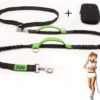 Filo Elastische Hondenriem Groot - Hardlopen En Wandelen - Hardloopriem Hond Handsfree Met Heuptasje - Looplijn Met Heupriem - Canicross Gordel Honden - Riemen - Heupgordel - Leiband -Hondenproducten 1200x908