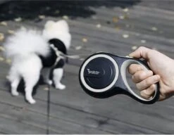 Hondenriem-Looplijn-Zwart/Grijs-8 Meter Oprol-Hond Lijn-Automatisch Rollijn 29 Hondenriem-Looplijn-Zwart/Grijs-8 Meter Oprol-Hond Lijn-Automatisch Rollijn -Hondenproducten 1200x933