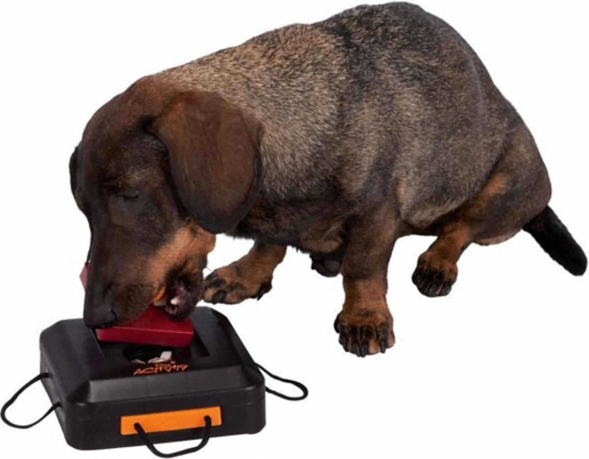 Trixie Dogtoy Dog Activity Strategy Game Gamble Box - Piepend Speelgoed - 15cm X 15cm X 9cm - Zwart/rood/oranje 6 Trixie Dogtoy Dog Activity Strategy Game Gamble Box - Piepend Speelgoed - 15cm X 15cm X 9cm - Zwart/rood/oranje - Afbeelding 4