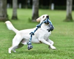 Viervoetjes - BigBoi - XXXL - Honden Touw - 100cm - 730 Gram - Honden Speelgoed - HondenSpeeltjes - Blauw/Wit/Zwart 7 Viervoetjes - BigBoi - XXXL - Honden Touw - 100cm - 730 Gram - Honden Speelgoed - HondenSpeeltjes - Blauw/Wit/Zwart -Hondenproducten 1200x958 4