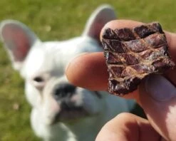 Topdiervoeding Runderlong Trainers Hondensnacks - Gedroogd En Vetarm - 1 KG -Hondenproducten 1200x960 4