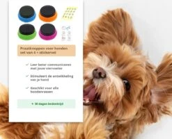 Praatknop Hond – Set Van 4 - Honden Speelgoed – Honden Training – Dogbuttons – Huisdier – Puppy Training - Hondenspeelgoed Intelligentie - Hond Opvoeden -Hondenproducten 1200x972 5
