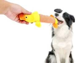 Hiden | Hondenspeelgoed - Pluche - Hondenspeeltjes - Huisdieren - Hondenknuffel | Eend -Hondenproducten 1200x992 4